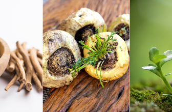 Can Adaptogens Help You Beat the 2 PM Slump?